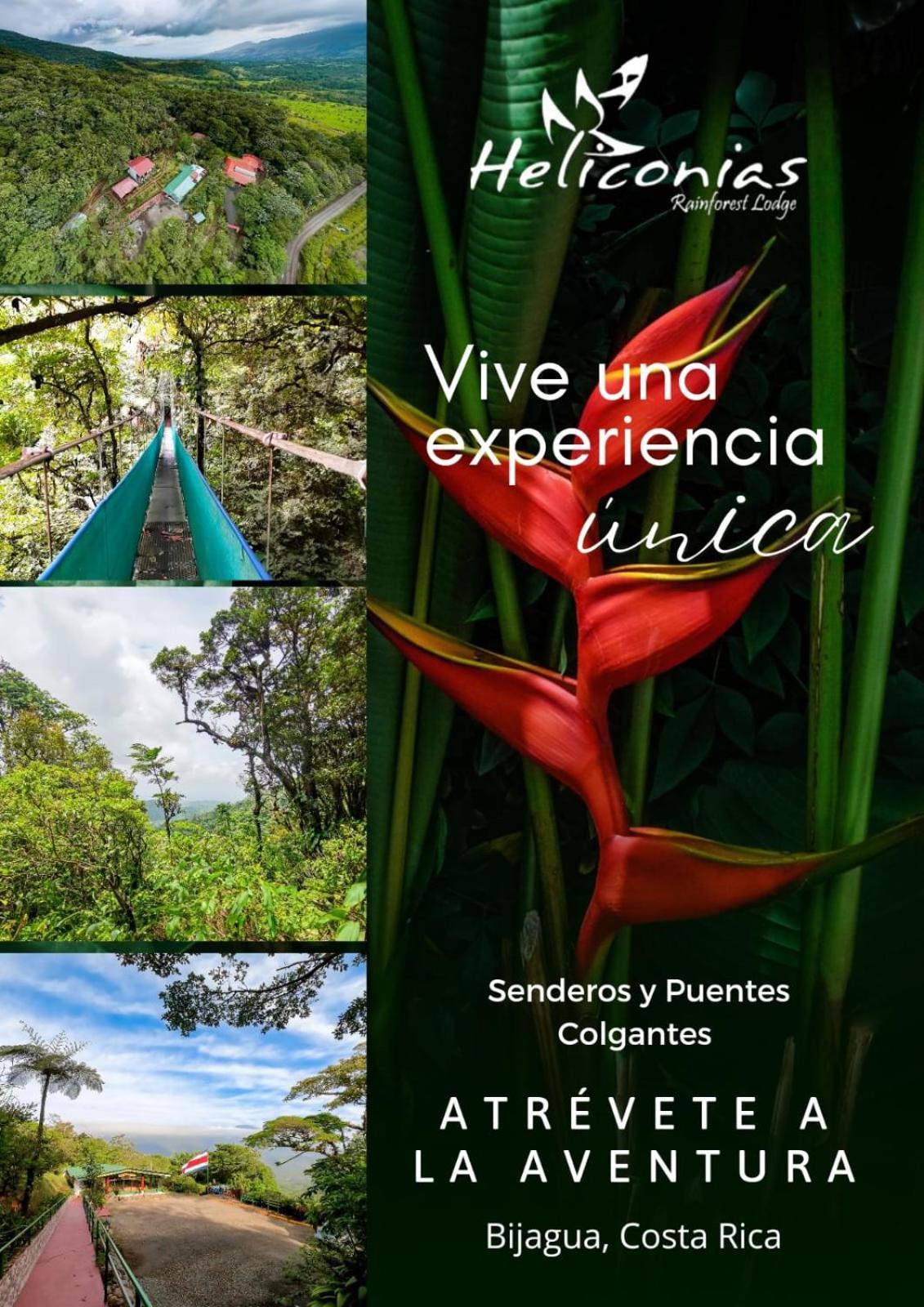 Heliconias Rainforest Lodge Bijagua Zewnętrze zdjęcie