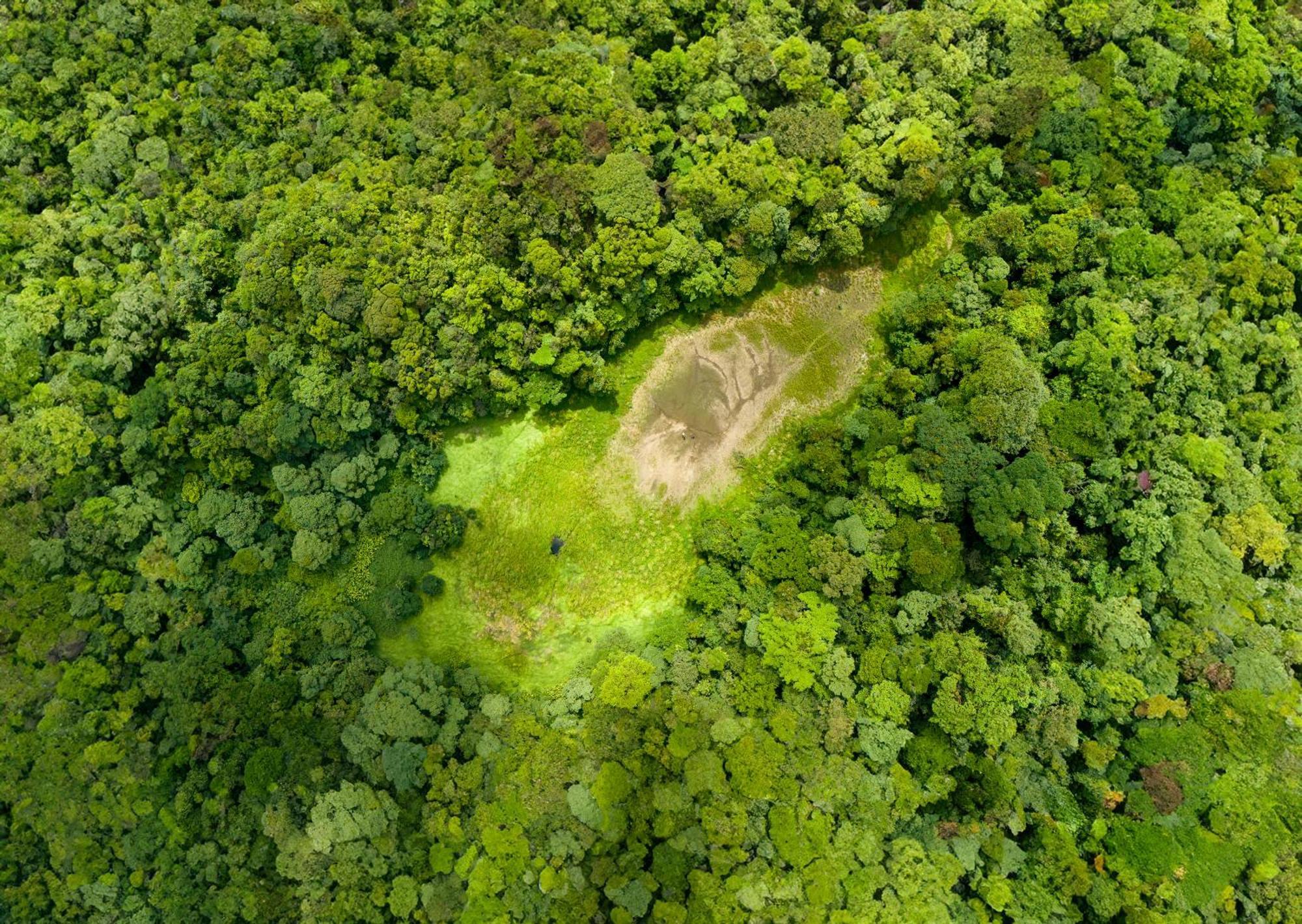 Heliconias Rainforest Lodge Bijagua Zewnętrze zdjęcie