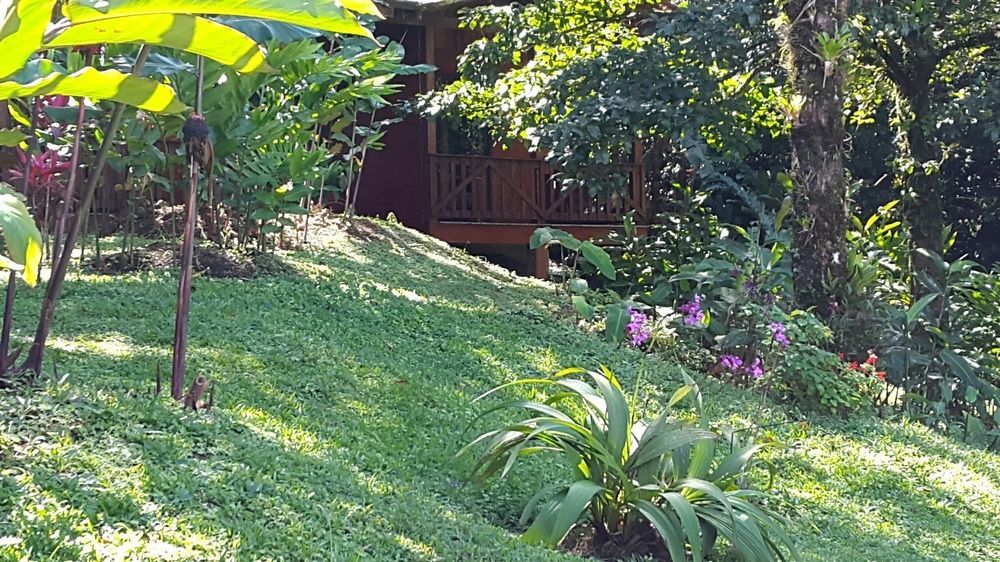 Heliconias Rainforest Lodge Bijagua Zewnętrze zdjęcie
